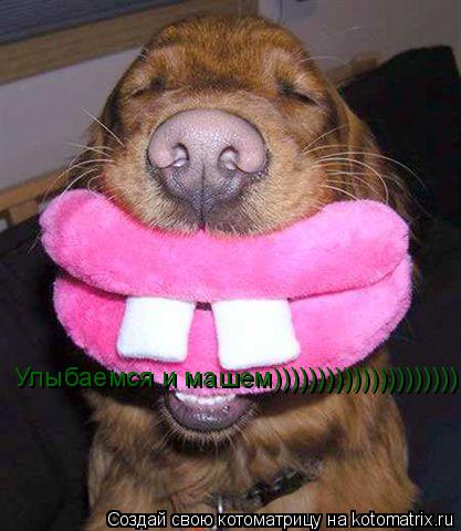 Улыбаемся и машем)))))))))))))))))))))... Котоматрица: Улыбаемся и машем)))))))))))))))))))))