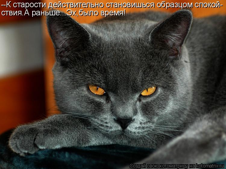 --К старости действительно становишься образцом спокой- ствия.А раньше...Эх,было время!... Котоматрица: --К старости действительно становишься образцом спокой- ствия.А раньше...Эх,было время!