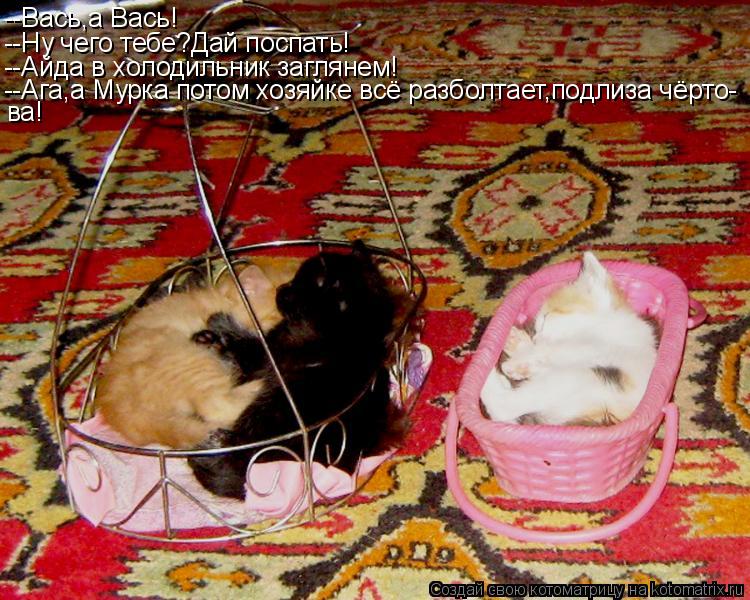 --Вась,а Вась! --Ну чего тебе?Дай поспать! --Айда в холодильник заглянем! --Ага,а Мурка потом хозяйке... Котоматрица: --Вась,а Вась! --Ну чего тебе?Дай поспать! --Айда в холодильник заглянем! --Ага,а Мурка потом хозяйке всё разболтает,подлиза чёрто- ва!