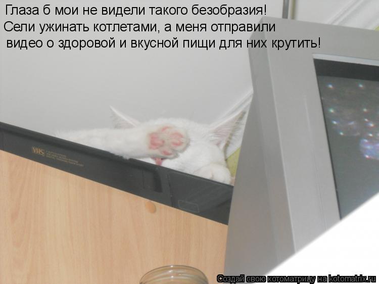 видео о здоровой и вкусной пищи для них крутить! Сели ужинать котлетами, а меня отправили Глаза б м... Котоматрица: видео о здоровой и вкусной пищи для них крутить! Сели ужинать котлетами, а меня отправили Глаза б мои не видели такого безобразия!