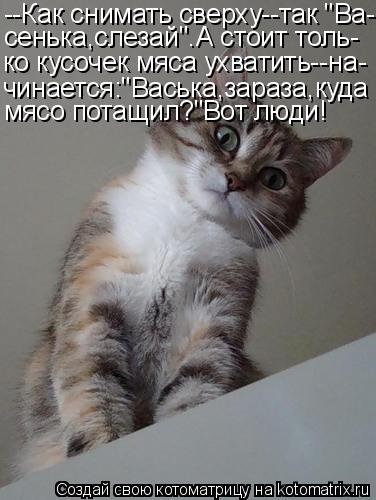--Как снимать сверху--так "Ва- сенька,слезай".А стоит толь- ко кусочек мяса ухватить--на- чинается:"В... Котоматрица: --Как снимать сверху--так "Ва- сенька,слезай".А стоит толь- ко кусочек мяса ухватить--на- чинается:"Васька,зараза,куда мясо потащил?"Вот люди!