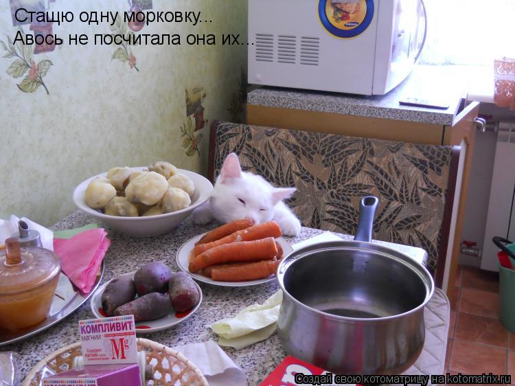 Стащю одну морковку... Авось не посчитала она их...... Котоматрица: Стащю одну морковку... Авось не посчитала она их...