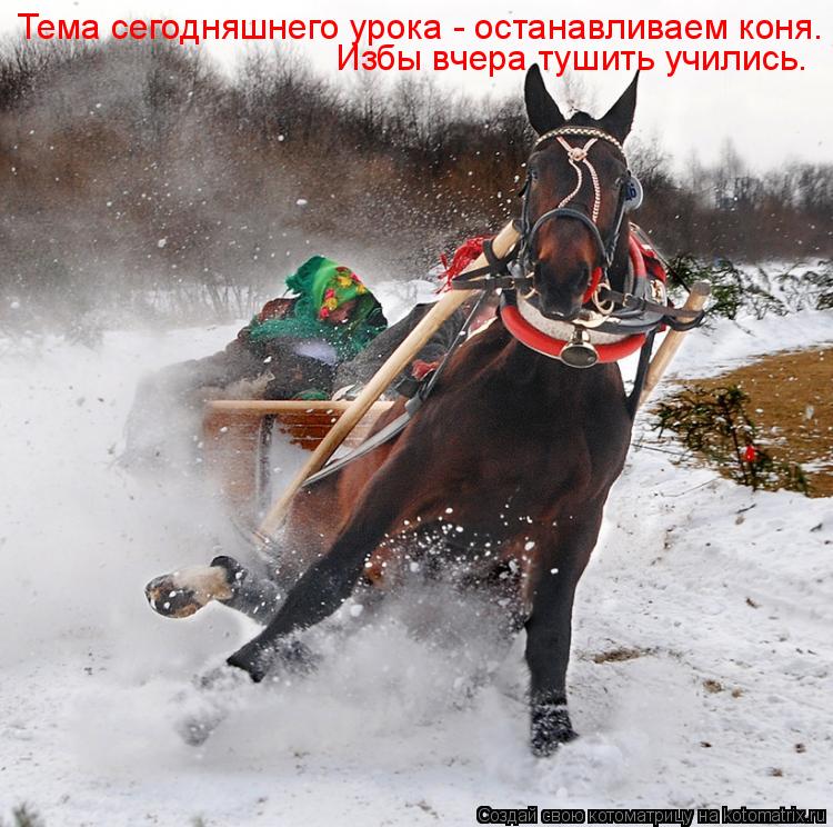 Тема сегодняшнего урока - останавливаем коня. Избы вчера тушить учились.... Котоматрица: Тема сегодняшнего урока - останавливаем коня. Избы вчера тушить учились.
