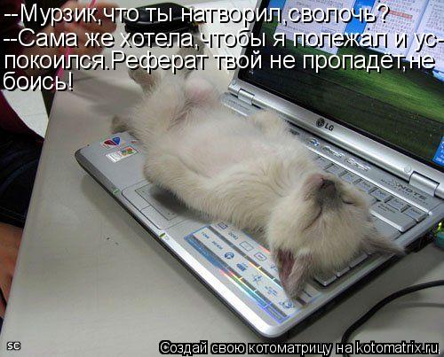 --Мурзик,что ты натворил,сволочь? --Сама же хотела,чтобы я полежал и ус- покоился.Реферат твой не про... Котоматрица: --Мурзик,что ты натворил,сволочь? --Сама же хотела,чтобы я полежал и ус- покоился.Реферат твой не пропадёт,не боись!