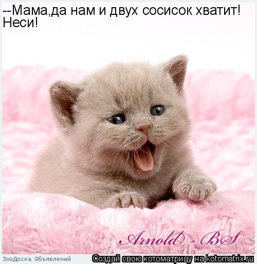 --Мама,да нам и двух сосисок хватит! Неси!... Котоматрица: --Мама,да нам и двух сосисок хватит! Неси!