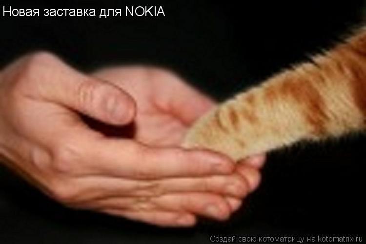 Новая заставка для NOKIA... Котоматрица: Новая заставка для NOKIA