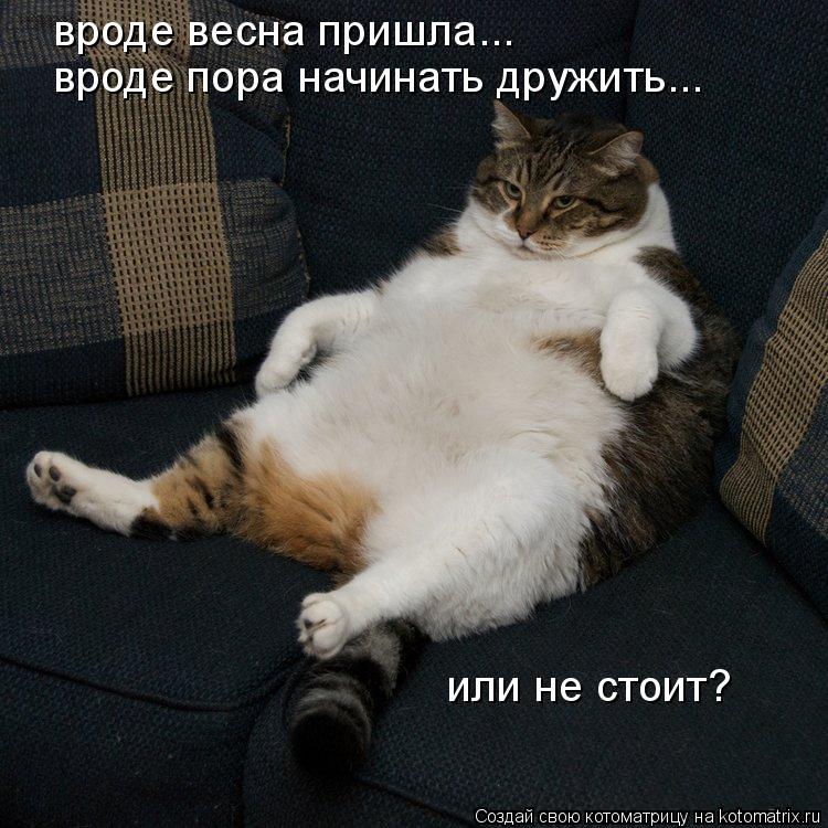 вроде весна пришла... вроде пора начинать дружить... или не стоит?... Котоматрица: вроде весна пришла... вроде пора начинать дружить... или не стоит?