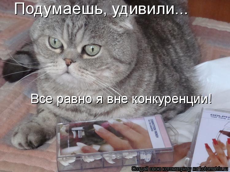 Подумаешь, удивили... Все равно я вне конкуренции!... Котоматрица: Подумаешь, удивили... Все равно я вне конкуренции!