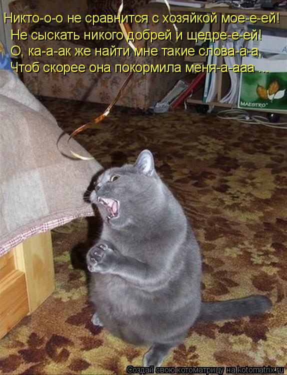 Котоматрица: Никто-о-о не сравнится с хозяйкой мое-е-ей! Не сыскать никого добрей и щедре-е-ей! О, ка-а-ак же найти мне такие слова-а-а, Чтоб скорее она покор