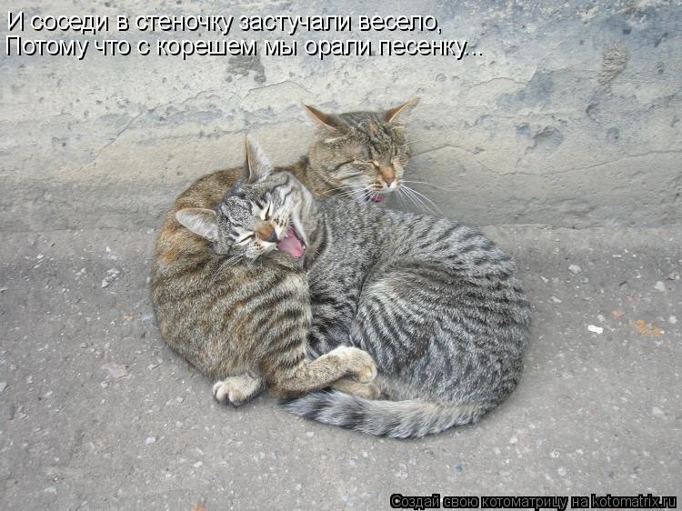 И соседи в стеночку застучали весело, Потому что с корешем мы орали песенку...... Котоматрица: И соседи в стеночку застучали весело, Потому что с корешем мы орали песенку...