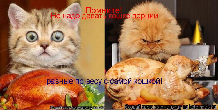 Котоматрица: Помните! Не надо давать кошке порции равные по весу с самой кошкой!