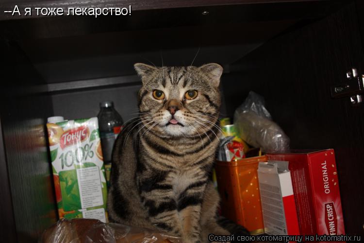 --А я тоже лекарство!... Котоматрица: --А я тоже лекарство!