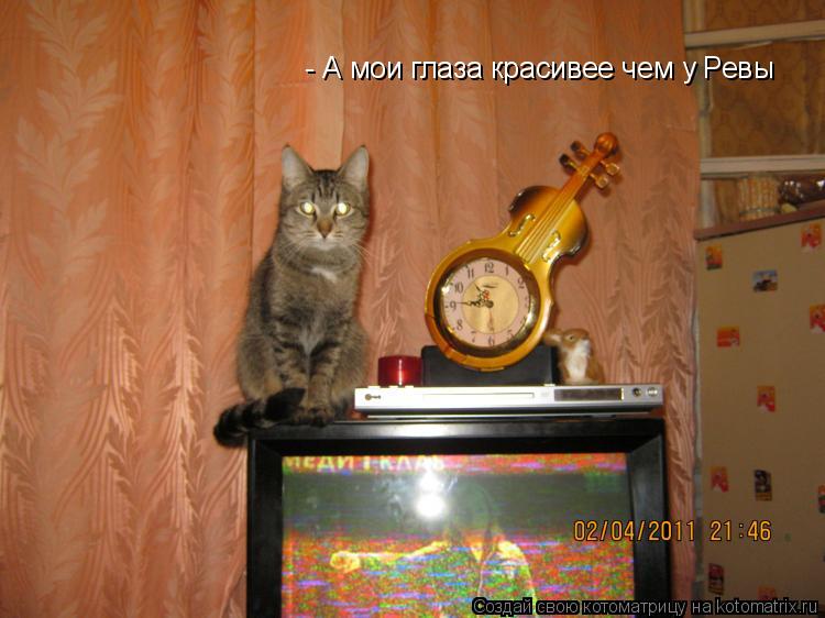 - А мои глаза красивее чем у Ревы... Котоматрица: - А мои глаза красивее чем у Ревы