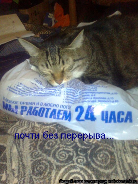 почти без перерыва...... Котоматрица: почти без перерыва...