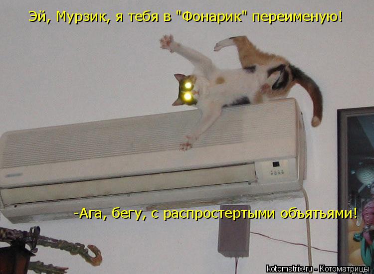 Эй, Мурзик, я тебя в "Фонарик" переименую! -Ага, бегу, с распростертыми объятьями!... Котоматрица: Эй, Мурзик, я тебя в "Фонарик" переименую! -Ага, бегу, с распростертыми объятьями!