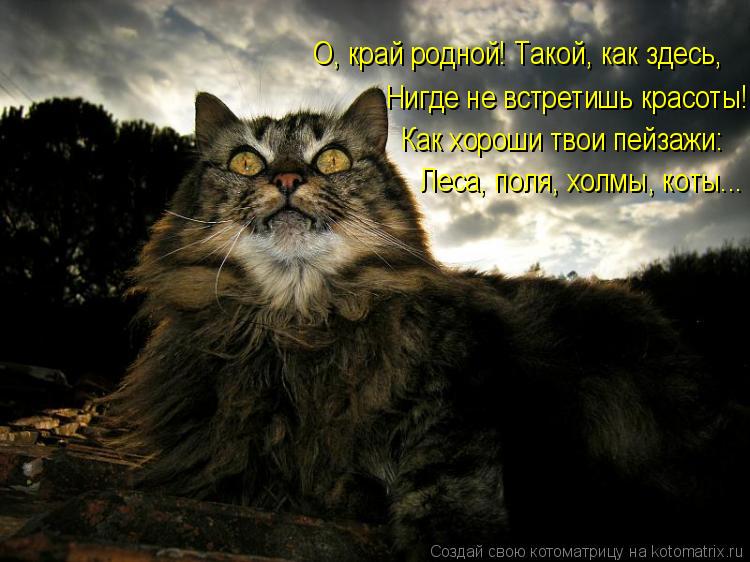 Леса, поля, холмы, коты... Как хороши твои пейзажи: Нигде не встретишь красоты! О, край родной! Такой... Котоматрица: Леса, поля, холмы, коты... Как хороши твои пейзажи: Нигде не встретишь красоты! О, край родной! Такой, как здесь,