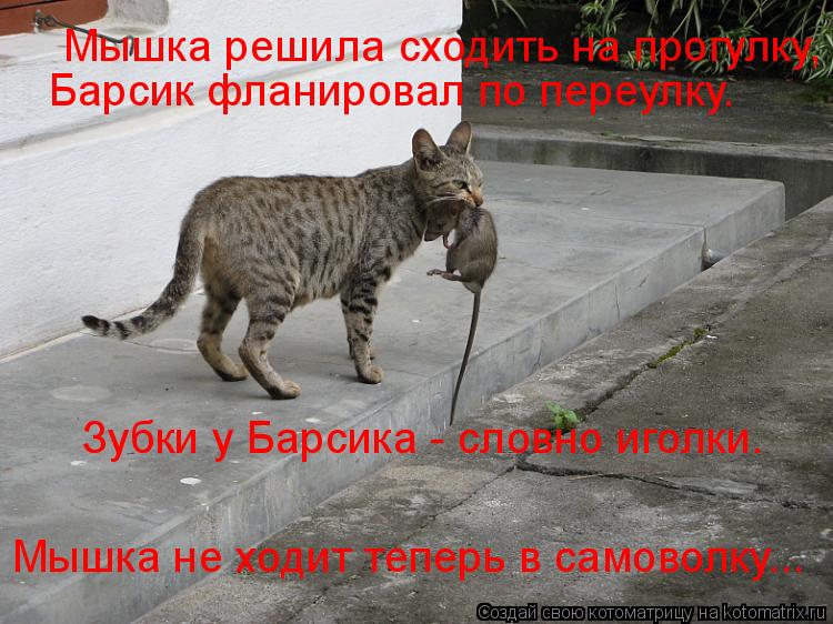 Мышка решила сходить на прогулку, Барсик фланировал по переулку. Зубки у Барсика - словно иголки. М... Котоматрица: Мышка решила сходить на прогулку, Барсик фланировал по переулку. Зубки у Барсика - словно иголки. Мышка не ходит теперь в самоволку...