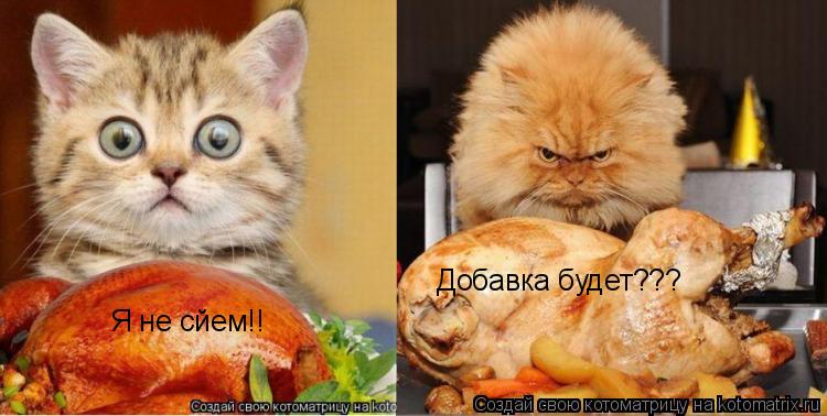 Я не сйем!! Добавка будет???... Котоматрица: Я не сйем!! Добавка будет???