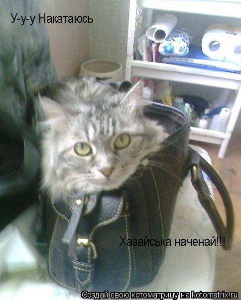 У-у-у Накатаюсь Хазайська наченай!!!... Котоматрица: У-у-у Накатаюсь Хазайська наченай!!!