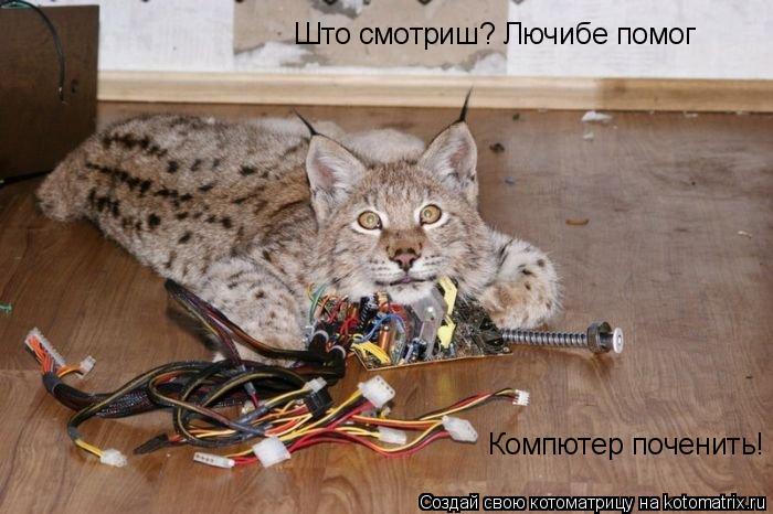 Што смотриш? Лючибе помог Компютер поченить!... Котоматрица: Што смотриш? Лючибе помог Компютер поченить!