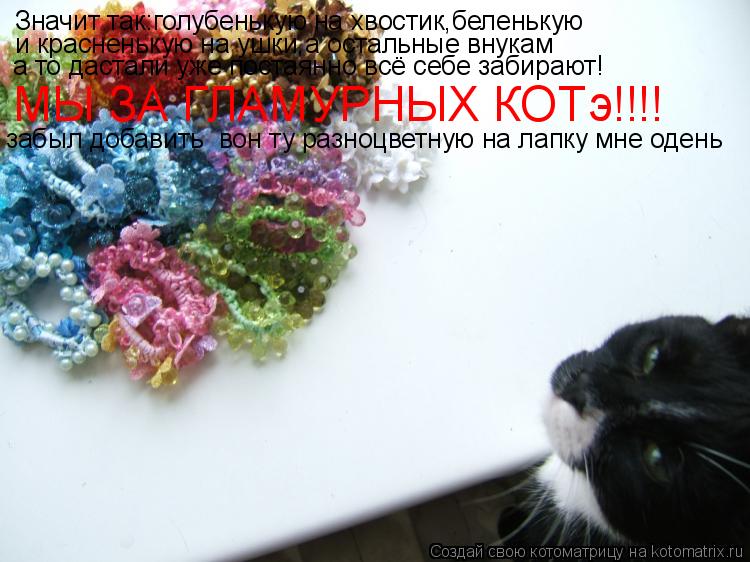 Значит так:голубенькую на хвостик,беленькую и красненькую на ушки,а остальные внукам а то дастали уж... Котоматрица: Значит так:голубенькую на хвостик,беленькую и красненькую на ушки,а остальные внукам а то дастали уже постаянно всё себе забирают! МЫ ЗА ГЛ
