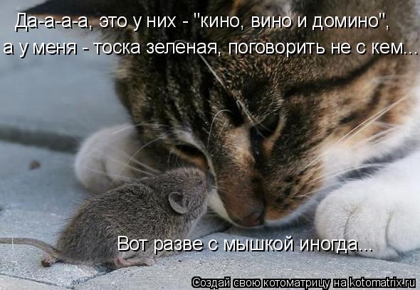 Да-а-а-а, это у них - "кино, вино и домино", а у меня - тоска зеленая, поговорить не с кем... Вот ра... Котоматрица: Да-а-а-а, это у них - "кино, вино и домино", а у меня - тоска зеленая, поговорить не с кем... Вот разве с мышкой иногда...