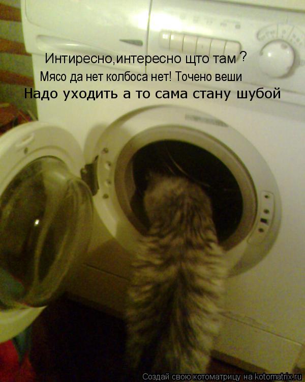 Интиресно,интересно щто там ? Мясо да нет колбоса нет! Точено веши Надо уходить а то сама стану шубо... Котоматрица: Интиресно,интересно щто там ? Мясо да нет колбоса нет! Точено веши Надо уходить а то сама стану шубой
