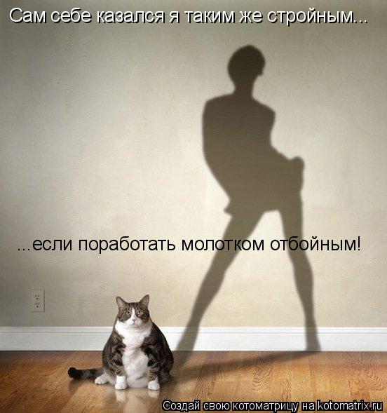 Сам себе казался я таким же стройным... ...если поработать молотком отбойным!... Котоматрица: Сам себе казался я таким же стройным... ...если поработать молотком отбойным!