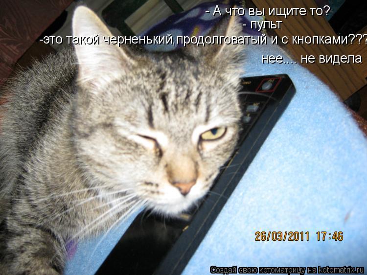 - А что вы ищите то? - пульт -это такой черненький,продолговатый и с кнопками??? нее.... не видела... Котоматрица: - А что вы ищите то? - пульт -это такой черненький,продолговатый и с кнопками??? нее.... не видела