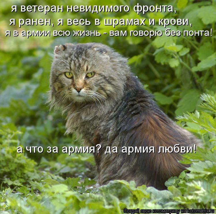я ветеран невидимого фронта, я ранен, я весь в шрамах и крови, я в армии всю жизнь - вам говорю без... Котоматрица: я ветеран невидимого фронта, я ранен, я весь в шрамах и крови, я в армии всю жизнь - вам говорю без понта! а что за армия? да армия любви!