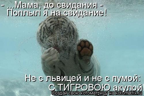 - ...Мама, до свидания - Поплыл я на свидание! Не с львицей и не с пумой: С ТИГРОВОЮ акулой!... Котоматрица: - ...Мама, до свидания - Поплыл я на свидание! Не с львицей и не с пумой: С ТИГРОВОЮ акулой!