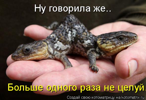 Ну говорила же.. Больше одного раза не целуй...... Котоматрица: Ну говорила же.. Больше одного раза не целуй...