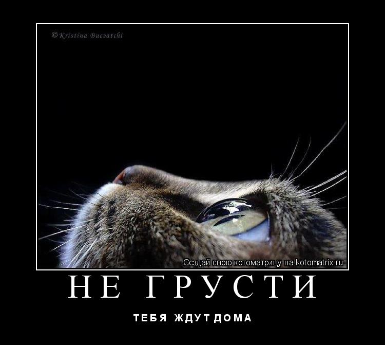 НЕ ГРУСТИ Т Е Б Я Ж Д У Т Д О М А... Котоматрица: НЕ ГРУСТИ Т Е Б Я Ж Д У Т Д О М А