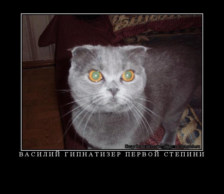 ВАСИЛИЙ ГИПНАТИЗЁР ПЕРВОЙ СТЕПИНИ ... Котоматрица: ВАСИЛИЙ ГИПНАТИЗЁР ПЕРВОЙ СТЕПИНИ