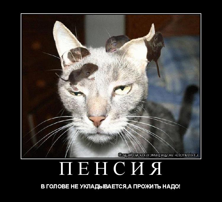 ПЕНСИЯ В ГОЛОВЕ НЕ УКЛАДЫВАЕТСЯ,А ПРОЖИТЬ НАДО!... Котоматрица: ПЕНСИЯ В ГОЛОВЕ НЕ УКЛАДЫВАЕТСЯ,А ПРОЖИТЬ НАДО!