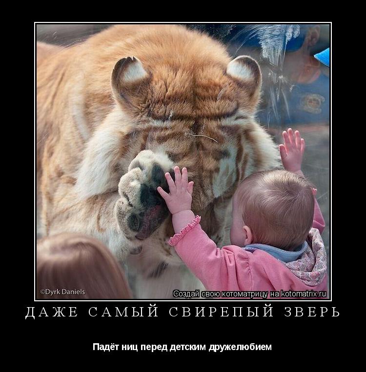 ДАЖЕ САМЫЙ СВИРЕПЫЙ ЗВЕРЬ Падёт ниц перед детским дружелюбием... Котоматрица: ДАЖЕ САМЫЙ СВИРЕПЫЙ ЗВЕРЬ Падёт ниц перед детским дружелюбием