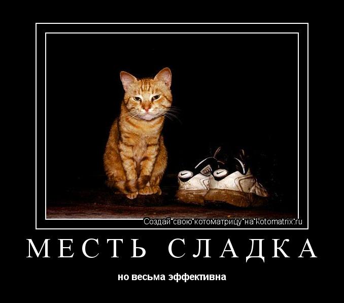Месть сладка но весьма эффективна... Котоматрица: Месть сладка но весьма эффективна