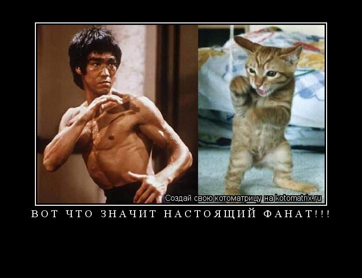 Вот что значит настоящий фанат!!! ... Котоматрица: Вот что значит настоящий фанат!!!