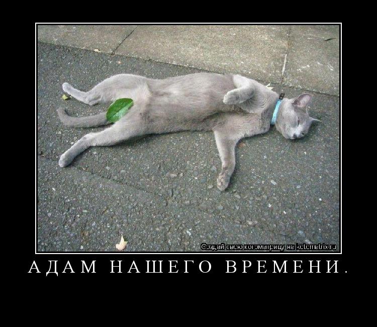 Адам нашего времени. ... Котоматрица: Адам нашего времени.