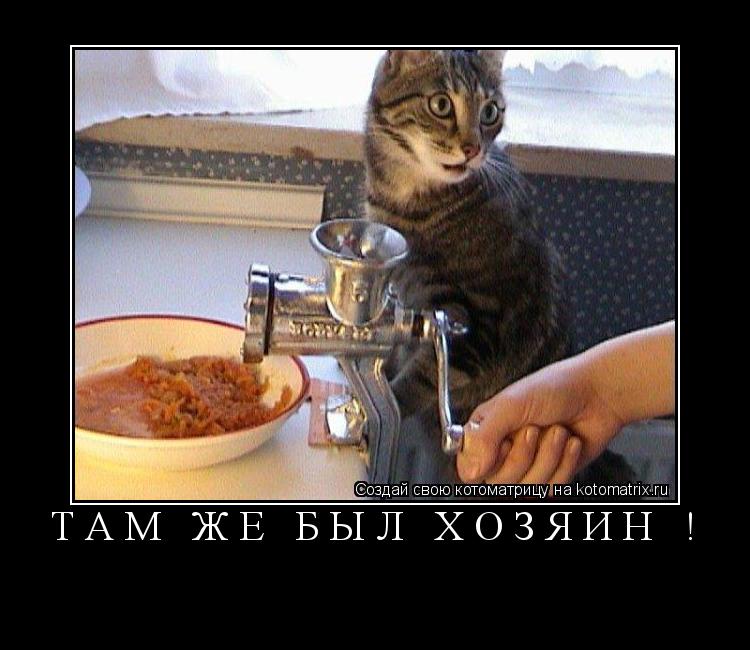 ТАМ ЖЕ БЫЛ ХОЗЯИН ! ... Котоматрица: ТАМ ЖЕ БЫЛ ХОЗЯИН !
