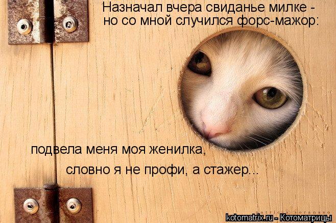 Назначал вчера свиданье милке - но со мной случился форс-мажор: подвела меня моя женилка, словно я... Котоматрица: Назначал вчера свиданье милке - но со мной случился форс-мажор: подвела меня моя женилка, словно я не профи, а стажер...