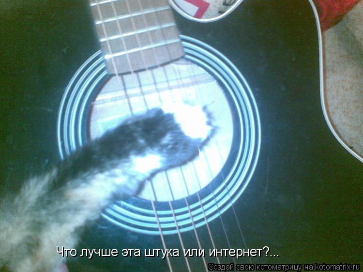 Что лучше эта штука или интернет?...... Котоматрица: Что лучше эта штука или интернет?...