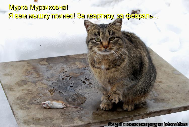 Мурка Мурзиковна! Я вам мышку принес! За квартиру, за февраль...... Котоматрица: Мурка Мурзиковна! Я вам мышку принес! За квартиру, за февраль...