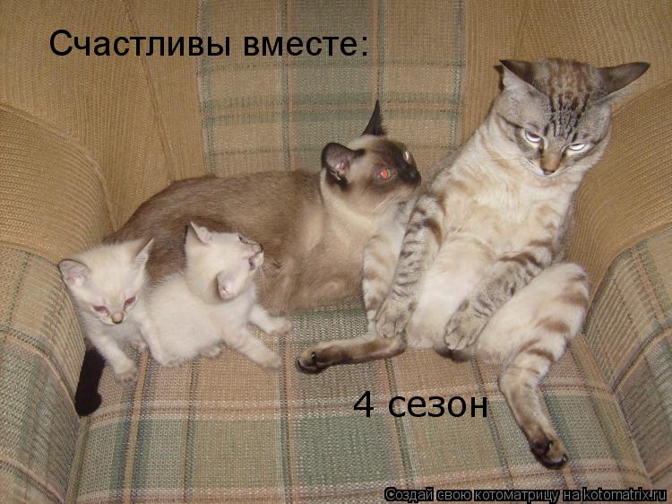 Счастливы вместе: 4 сезон... Котоматрица: Счастливы вместе: 4 сезон