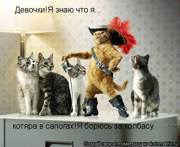 Девочки!Я знаю что я... котяра в сапогах!Я борюсь за колбасу... Котоматрица: Девочки!Я знаю что я... котяра в сапогах!Я борюсь за колбасу