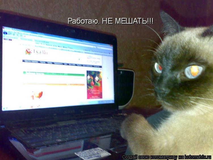 Работаю. НЕ МЕШАТЬ!!!... Котоматрица: Работаю. НЕ МЕШАТЬ!!!