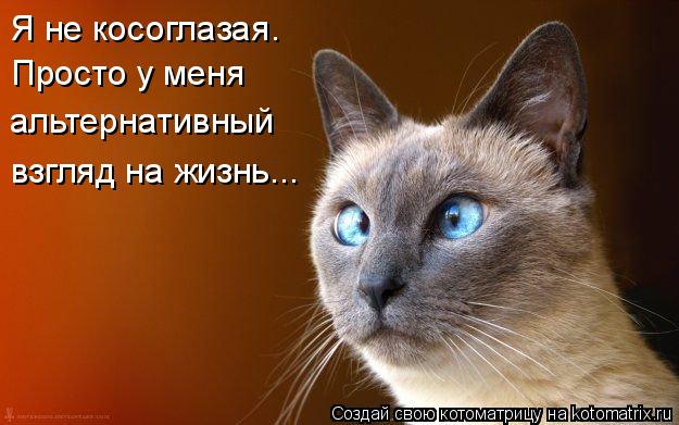Просто у меня альтернативный взгляд на жизнь... Я не косоглазая.... Котоматрица: Просто у меня альтернативный взгляд на жизнь... Я не косоглазая.
