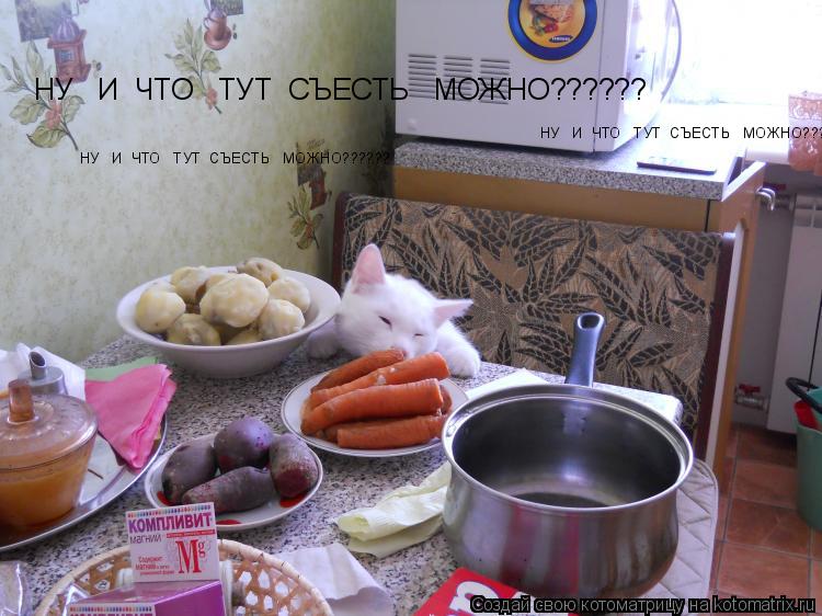НУ И ЧТО ТУТ СЪЕСТЬ МОЖНО?????? НУ И ЧТО ТУТ СЪЕСТЬ МОЖНО?????? НУ И ЧТО ТУТ СЪ... Котоматрица: НУ И ЧТО ТУТ СЪЕСТЬ МОЖНО?????? НУ И ЧТО ТУТ СЪЕСТЬ МОЖНО?????? НУ И ЧТО ТУТ СЪЕСТЬ МОЖНО??????