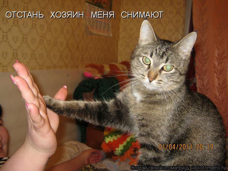 ОТСТАНЬ ХОЗЯИН МЕНЯ СНИМАЮТ... Котоматрица: ОТСТАНЬ ХОЗЯИН МЕНЯ СНИМАЮТ