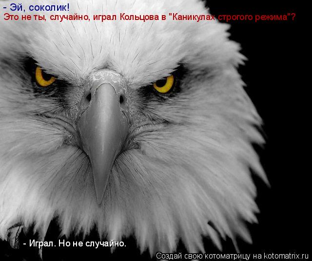 - Эй, соколик! Это не ты, случайно, играл Кольцова в "Каникулах строгого режима"? - Играл. Но не случ... Котоматрица: - Эй, соколик! Это не ты, случайно, играл Кольцова в "Каникулах строгого режима"? - Играл. Но не случайно.